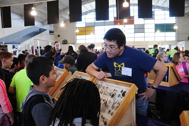 Entomologist Alex Nguyen, a UC Davis alumnus, volunteered at the 2017 Solano County Youth Ag Day held at the Solano County Fairgrounds for third-graders. These are some of the traveling display boxes the Bohart uses. (Photo by Kathy Keatley Garvey)