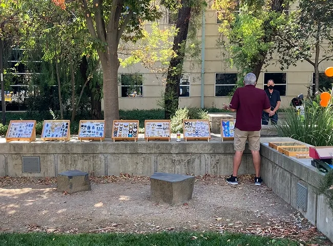 Jeff Smith, curator of the Lepidoptera collection at the Bohart Museum, shows some of the displays to a visitor.