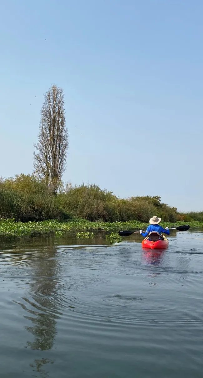 Paddling the delta