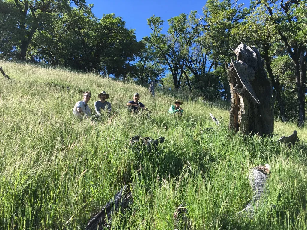 28D8C805-9A1C-45D6-8BAF-E3623E40C8E8_1_105_c (1)