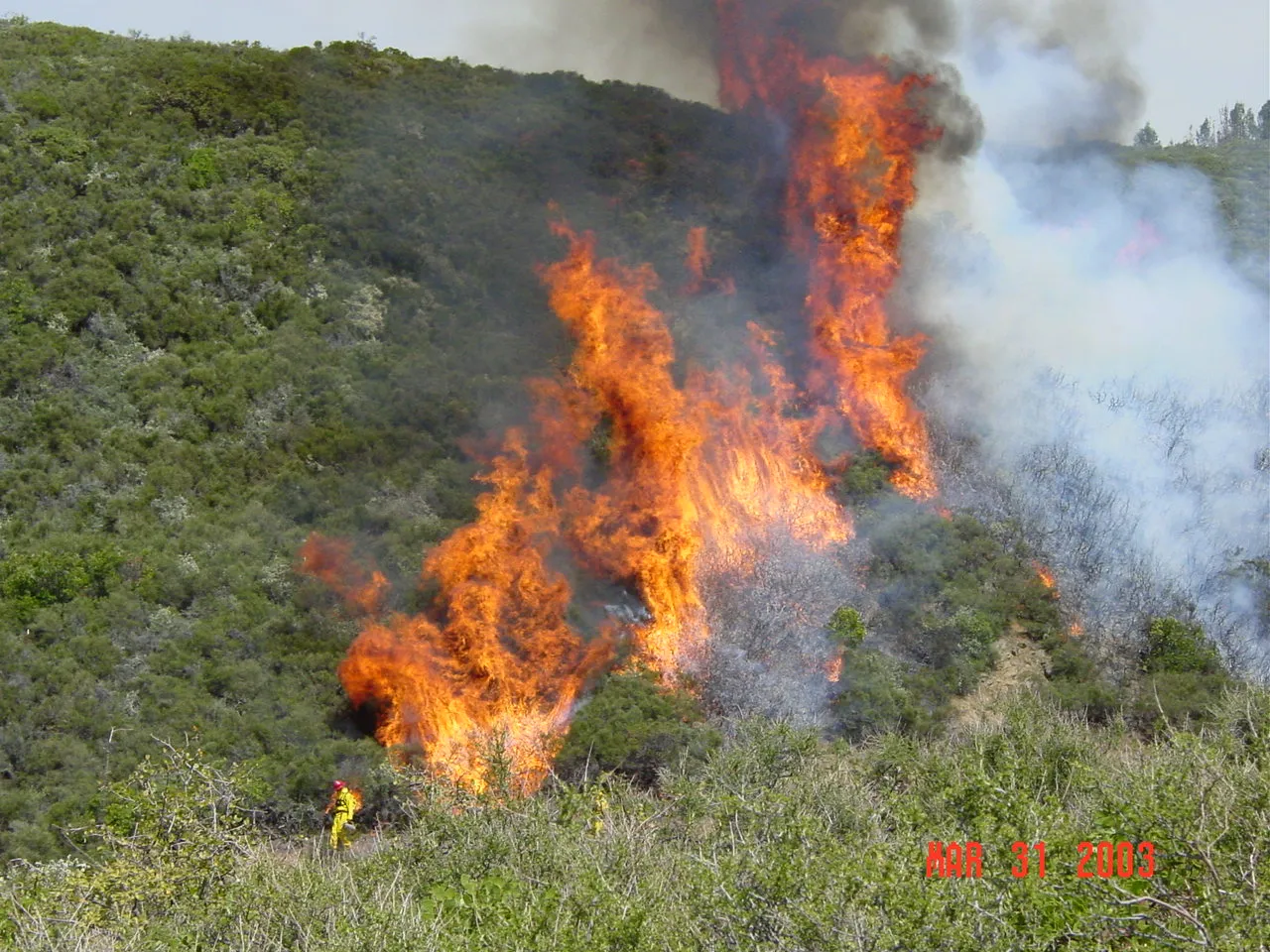 030331 Plot O CDF early ignition- JJ (1)