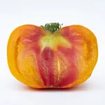 Tomato_Beefsteak_Hawaiian Pineapple 2_MGFT-150