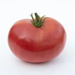 Tomato_Beefsteak_Mortgage Lifter_MGFT-150
