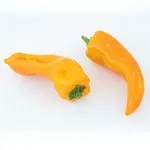 Pepper_Sweet_Cornito Giallo_MGFT-150