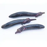 Orient Express Eggplant