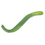Suyo Long Cucumber