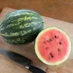 Mini Love Watermelon, Johnny Selected Seeds