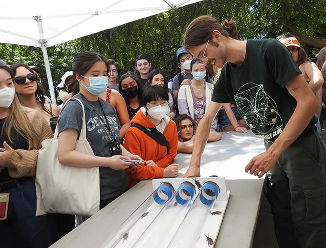 Kyle Elshoff of the UC Davis Entomology Club retrieves a winning roach. (Photo by Kathy Keatley Garvey)