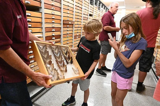 A closer look--Niccoli examines the collection while Clio pulls out her cell phone to get a quick picture. In back is entomologist Jeff Smith, curator of the Lepidoptera collection at the Bohart Museum. (Photo by Kathy Keatley Garvey)