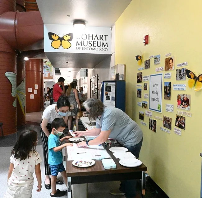 Entomologist Fran Keller, a professor at Folsom Lake College, demonstrates sticky and non-sticky spider silk with participants at the June 25th open house in the UC Davis Academic Surge Building. (Photo by Kathy Keatley Garvey)