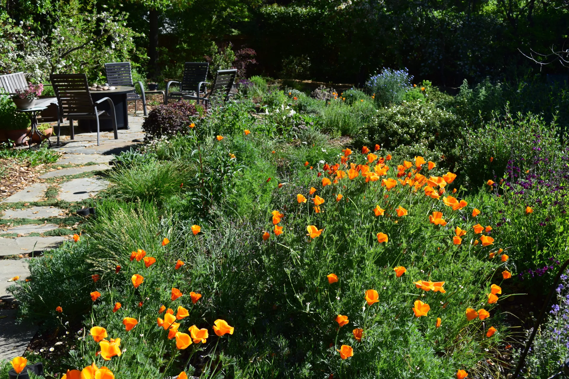 2-11-22WitteGarden SpeakersBureau