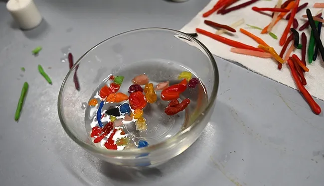 Ingredients for the dragonfly candles await the artists. (Photo by Kathy Keatley Garvey)