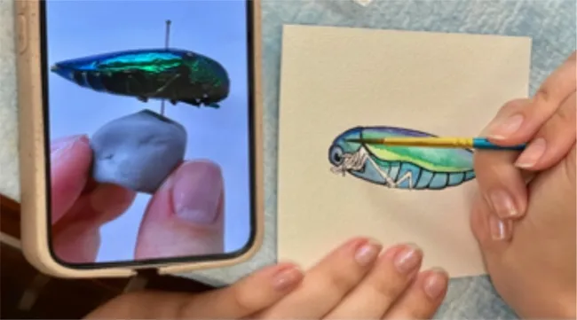 This is what art enthusiasts can expect to see when they attend the Entomology (ENT) 001 Art Show: "Insects in the Anthropocene," on Tuesday, Nov. 29 at UC Davis.