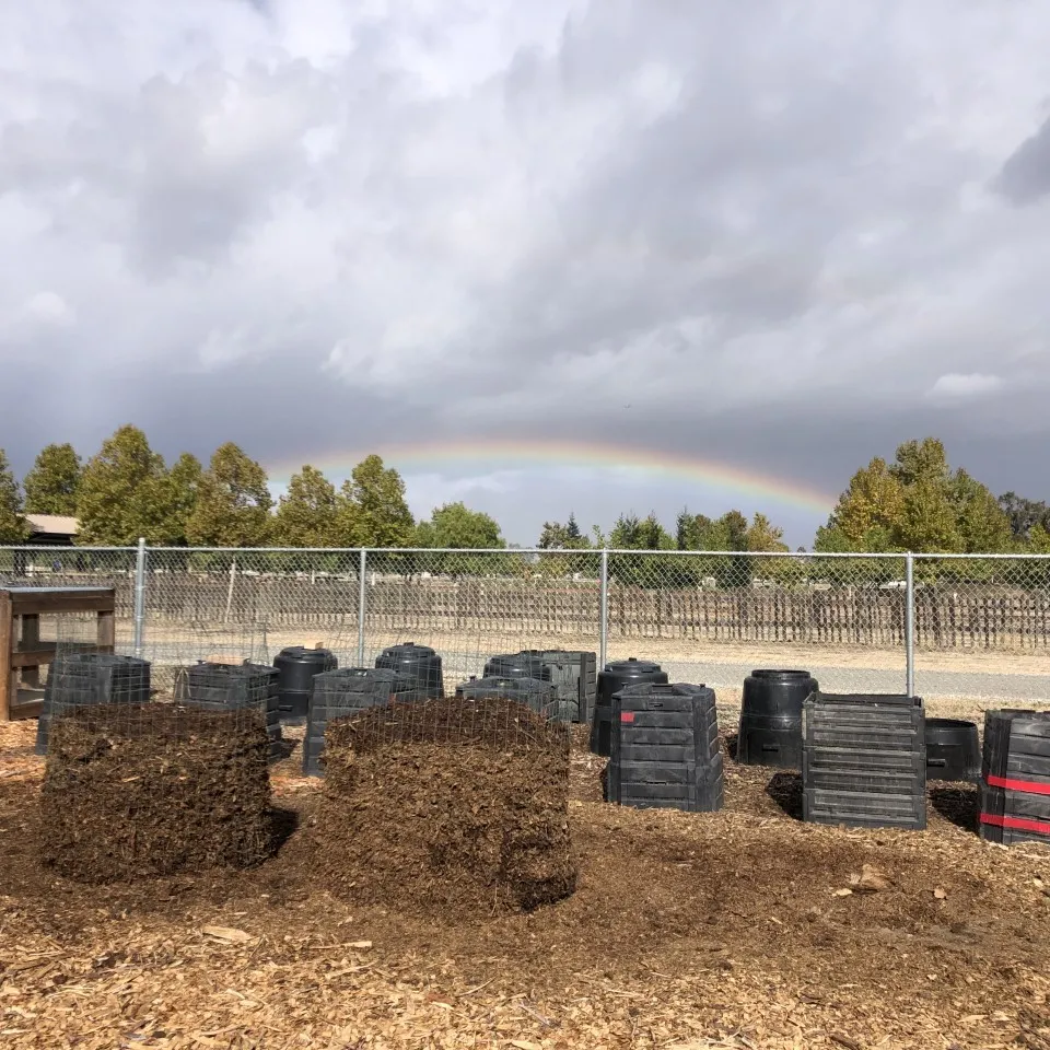 MCP rainbow 3 11.2.22