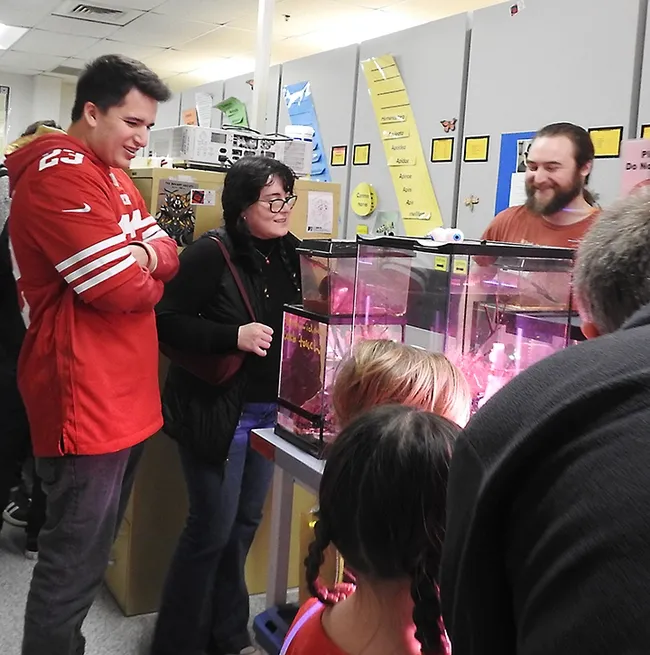 Bohart Museum collections manager Brennen Dyer (far right) shows black widow spiders to Ben Padilla and Nicole Tague, both of Gilroy. (Photo by Kathy Keatley Garvey)