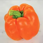 Pepper_Sweet_Etiuda_Baker Creek Heirloom Seeds, rareseeds.com_sm96