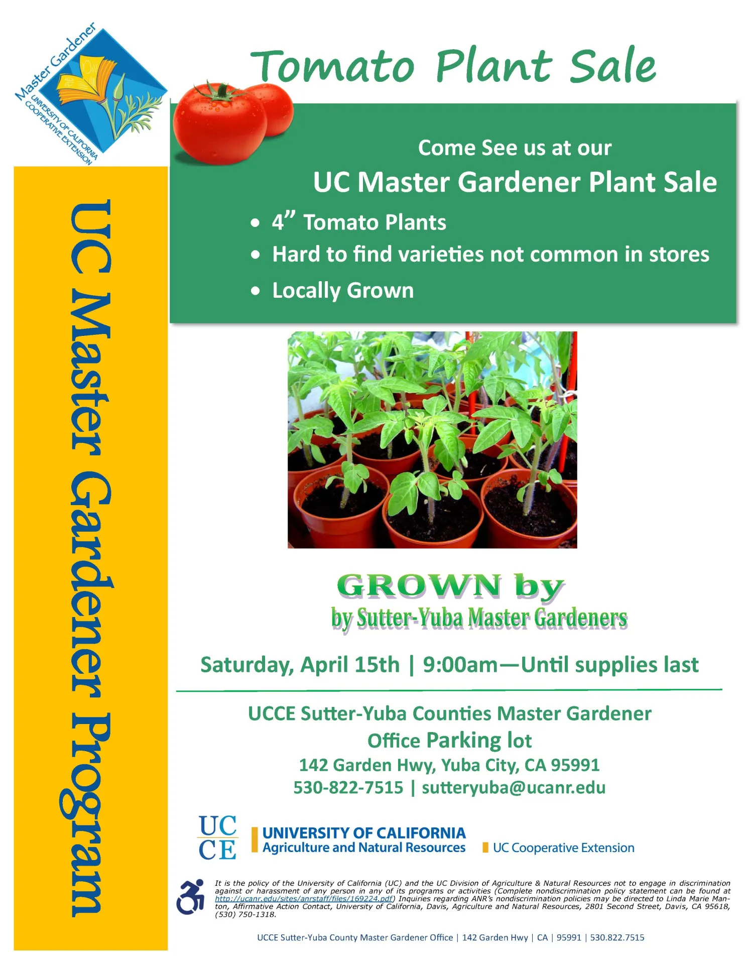 Tomato Plant Sale 2023