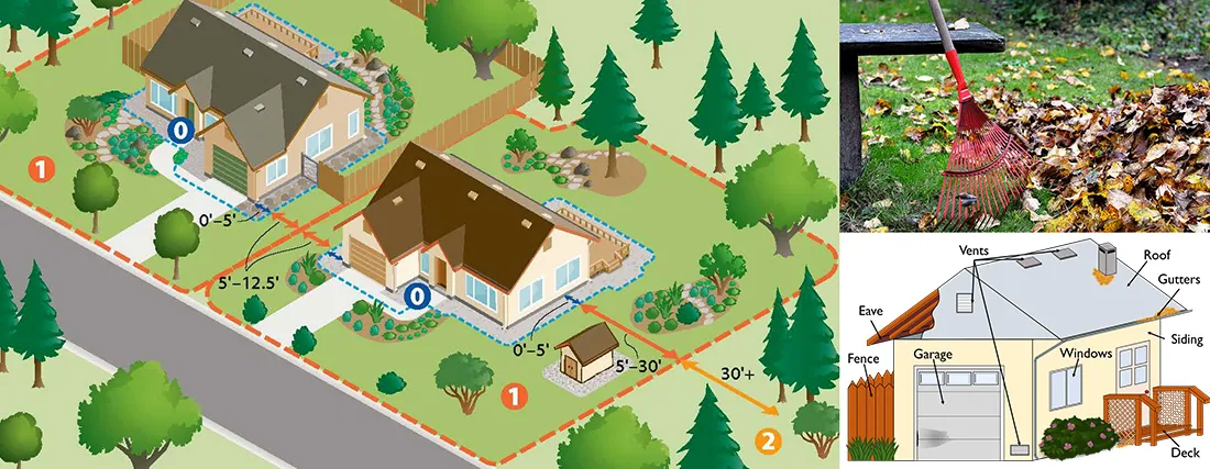 defensible space