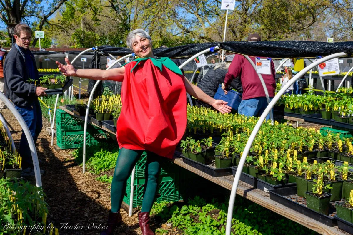 05-05-23DawnTomatoCostume