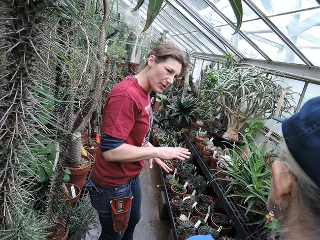 Marlene Simon, curator of the UC Davis Botanical Conservatory, answers a question during the UC Davis Biodiversity Museum Day, held on the Saturday of Presidents' Weekend. (Photo by Kathy Keatley Garvey)