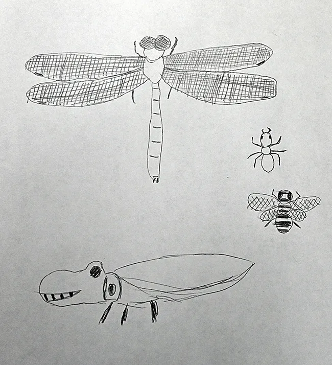 Sketches by Anna Garrison of Sacramento.