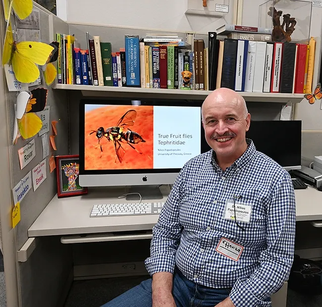 Tephritid fruit fly expert Nikos Papadopoulos of Greece showed a video on tephritid flies at the Bohart Museum of Entomology. He did postdoctoral work at UC Davis. (Photo by Kathy Keatley Garvey)