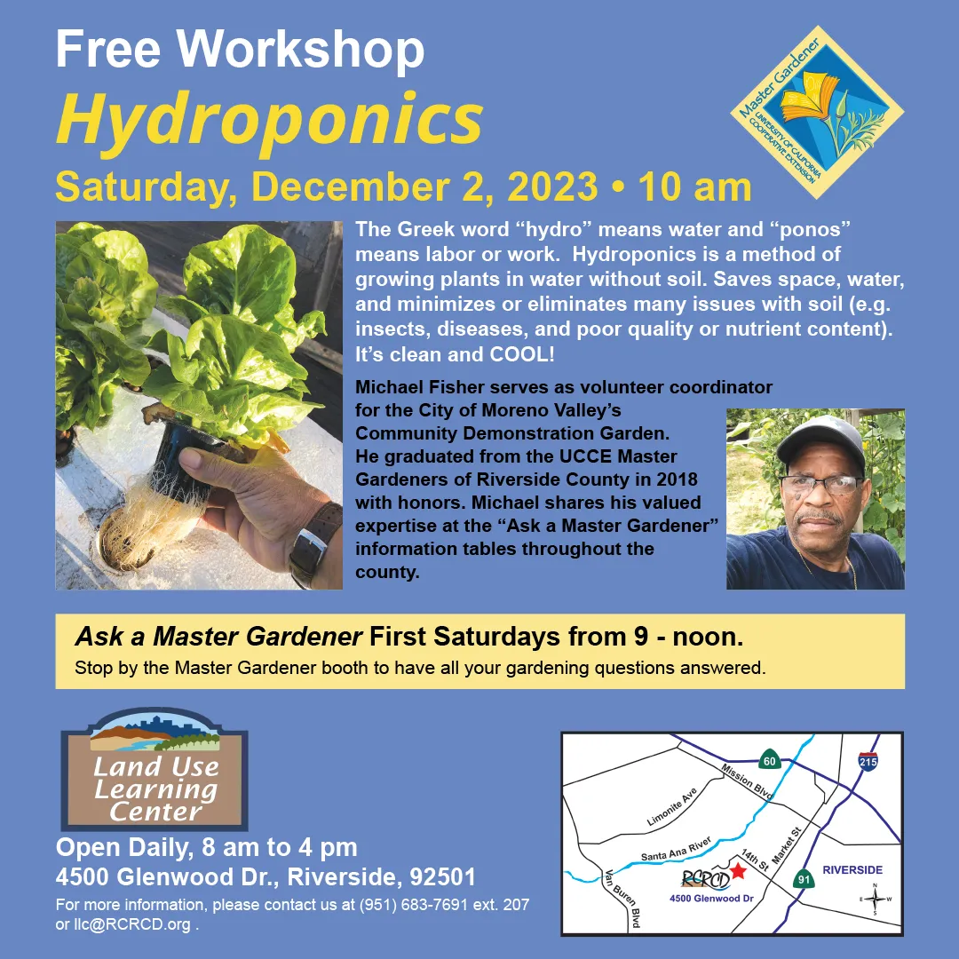 2023.12.02- Hydroponics