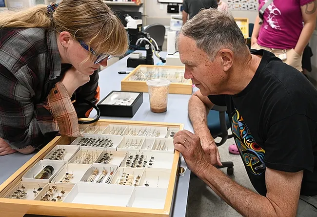 Rosser Garrison and his daughter, Anna Garrison, examine some of the specimens on display at the recent Bohart Museum of Entomology open house. (Photo by Kathy Keatley Garvey)