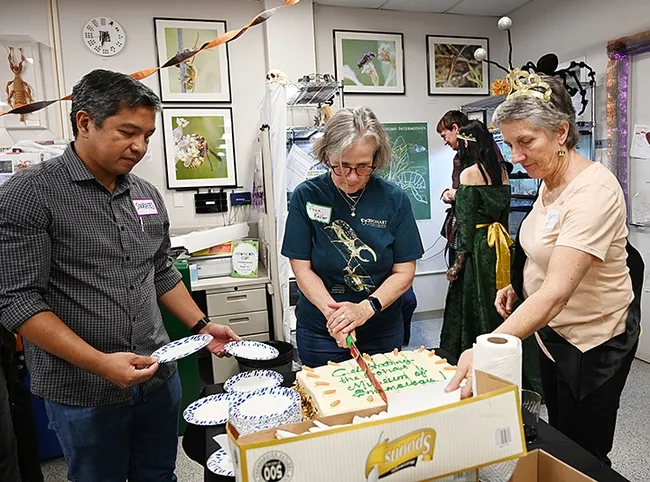 Cutting the cake are Bohart Museum postdoctoral researcher Socrates Letana; UC Davis doctoral alumna Fran Keller, professor, Folsom Lake College; and UC Davis distinguished professor Lynn Kimsey, director of the Bohart Museum. (Photo by Kathy Keatley Garvey)