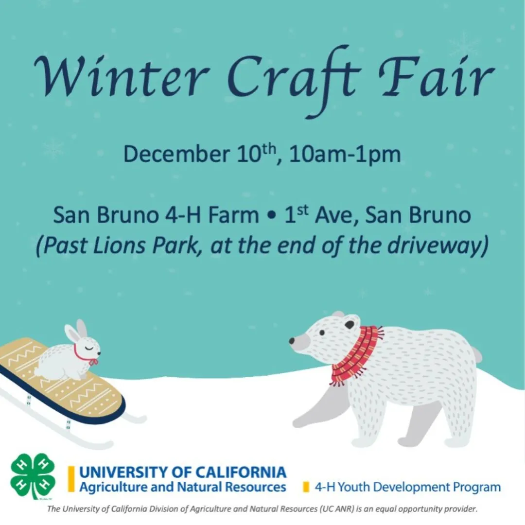 Craft Fair 1 (Instagram Post)