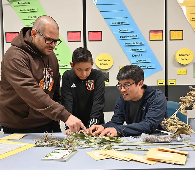 UC Davis professor Louie Yang (right) shows milkweed to Mike Silva, professor at Solano Community College and a City of Vacaville councilman, and his son, Jovanni Silva. Silva is planning a milkweed project in Vacaville. (Photo by Kathy Keatley Garvey)