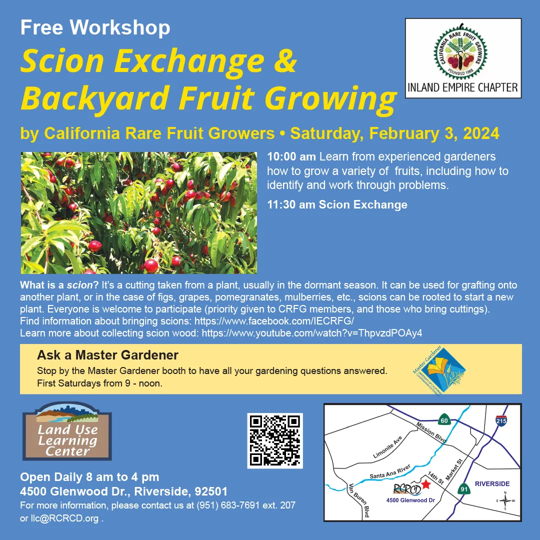 2024.02.03-Backyard Fruit Growing