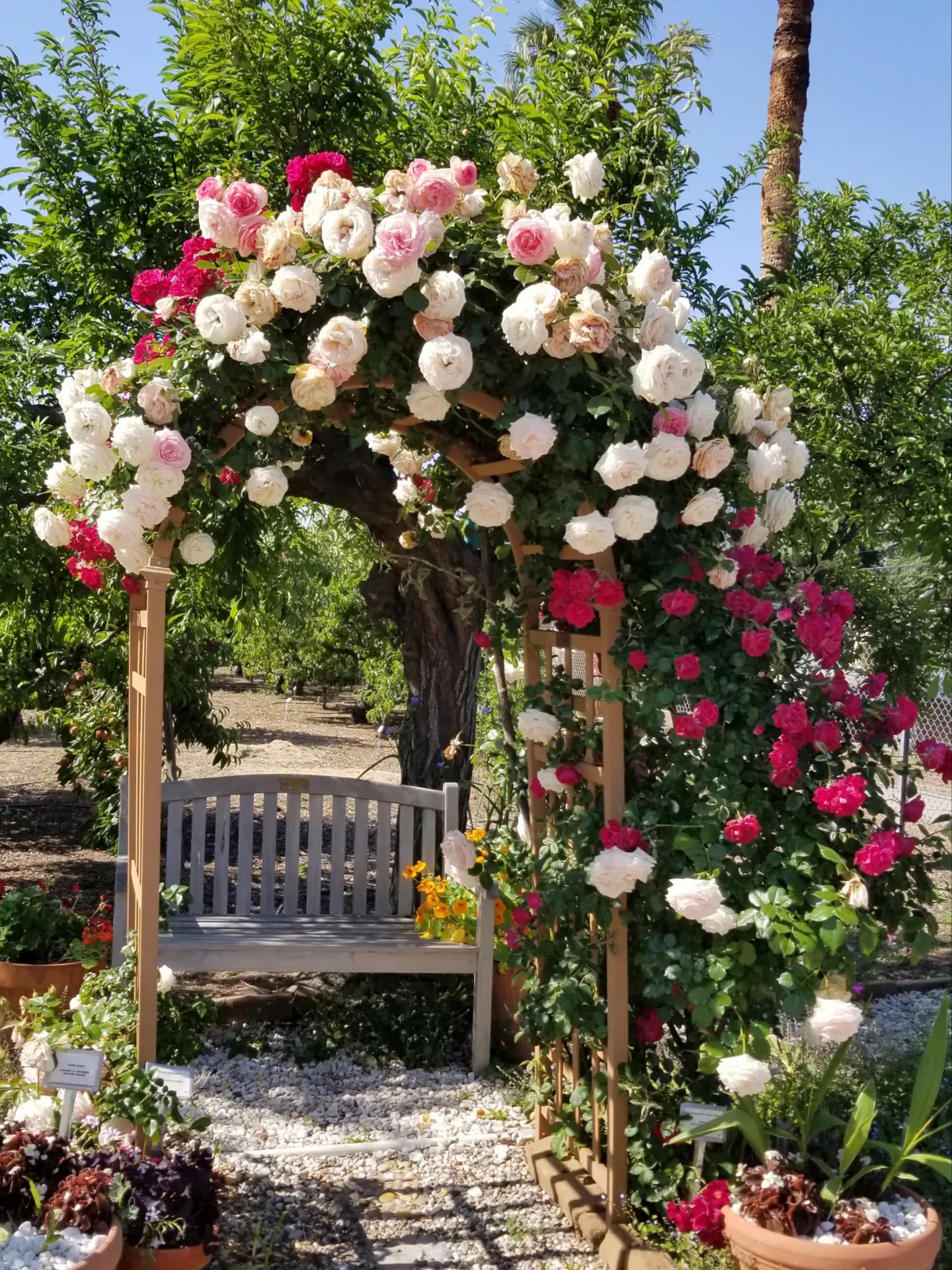 Spring Garden tour 2024 ticket