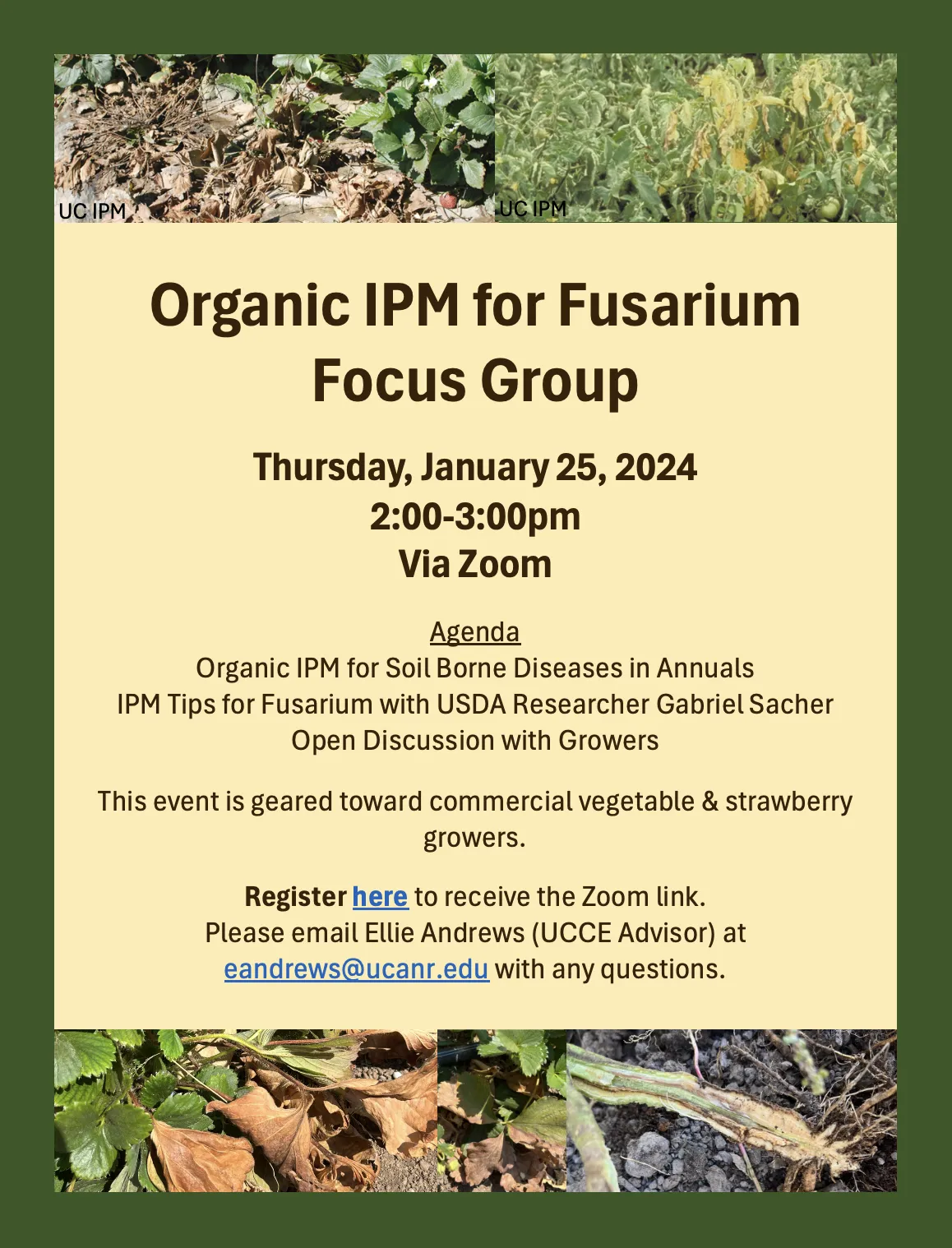 Fusarium Focus Group Flier