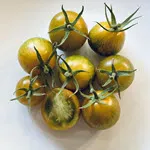 Tomato_Slicer_Green Zebra_UCMG of CCC-150