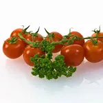 Tomato_Cherry_Tommy Toe_Baker Creek Heirloom Seeds rareseeds_com-150