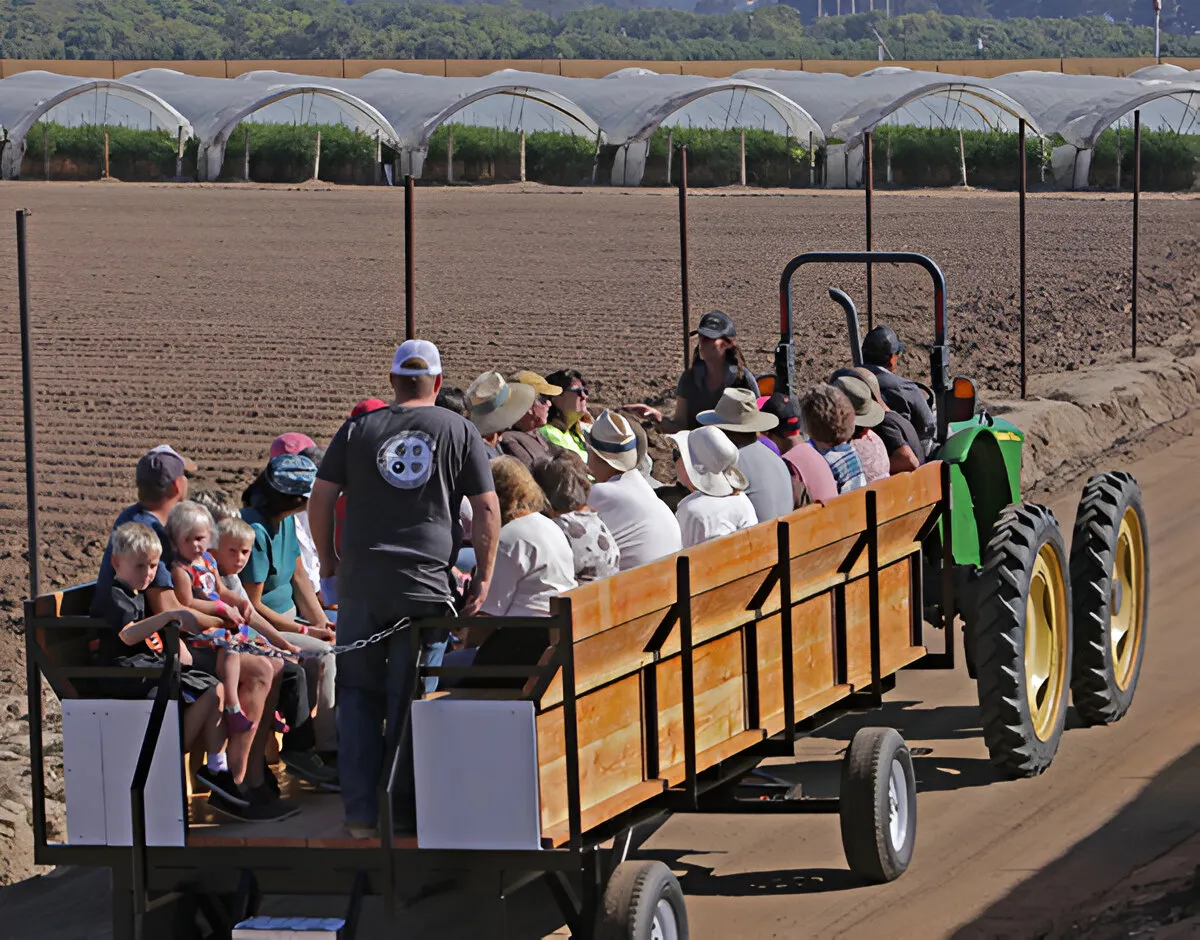Tractor tour at SBC Farm Day