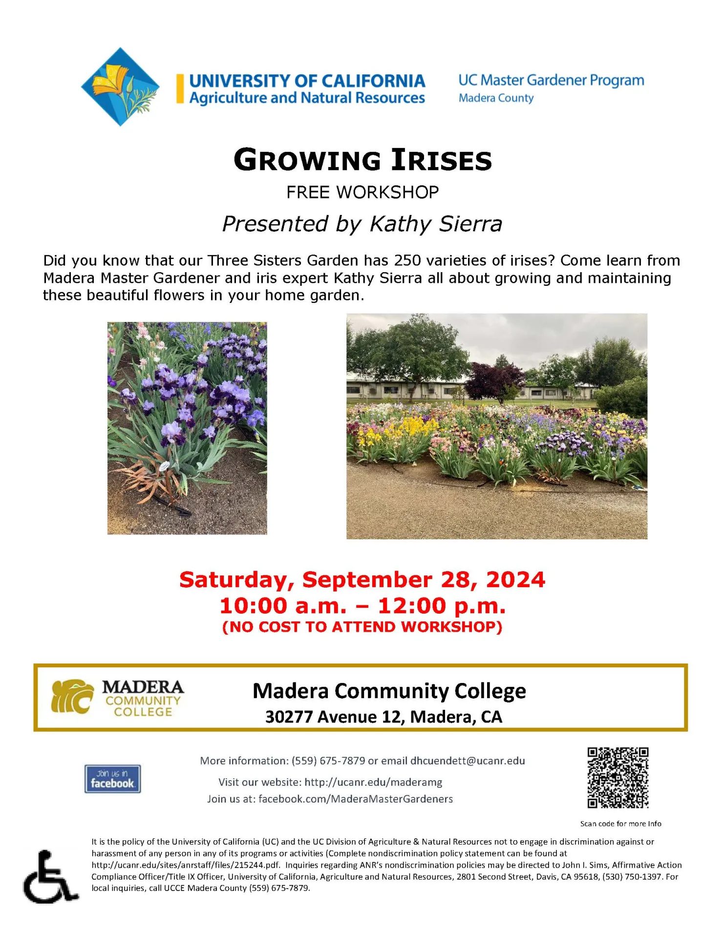 9.28.24 Growing Irises Madera
