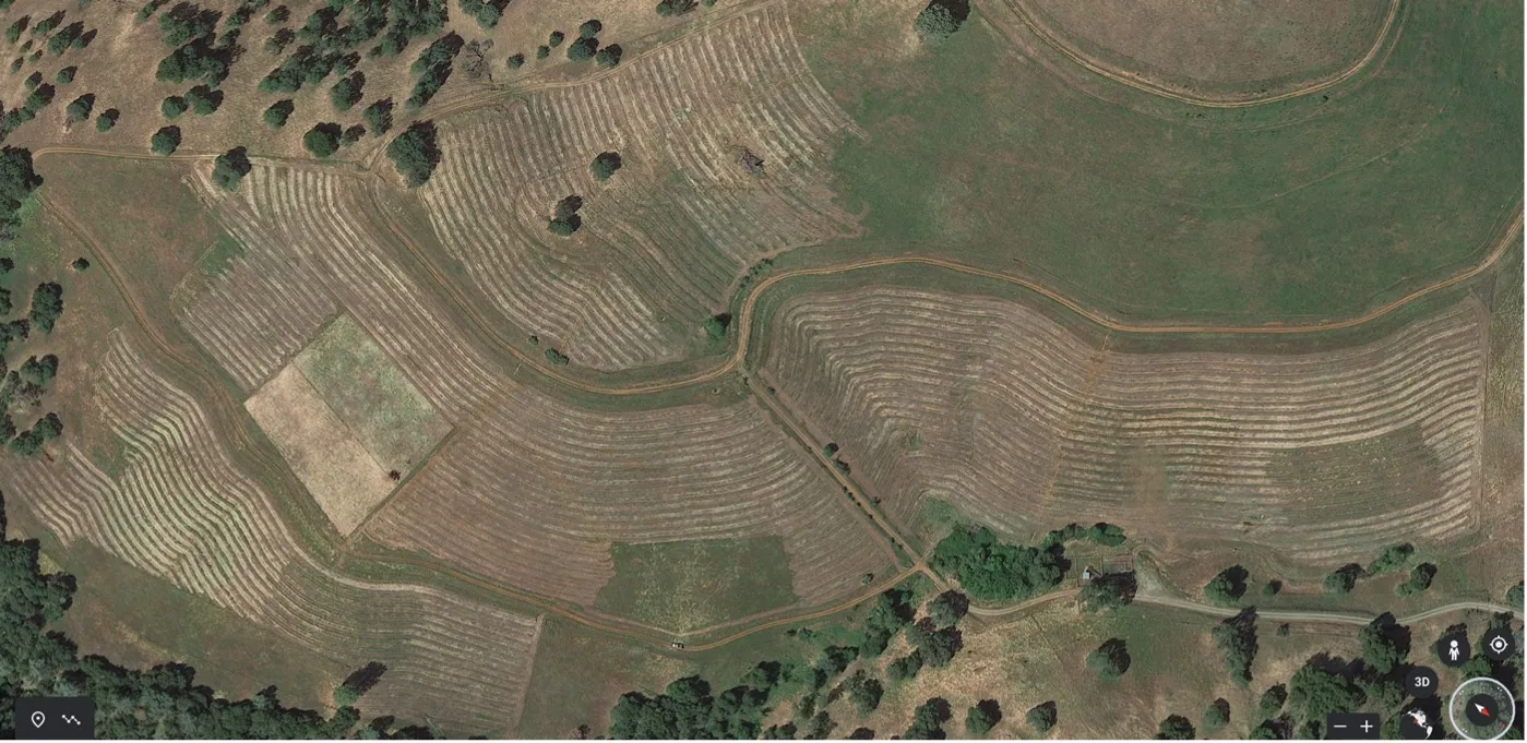 Drone Image of 43 acres of previously cleared rangeland planted to Blue Oak acorns and seddlings.