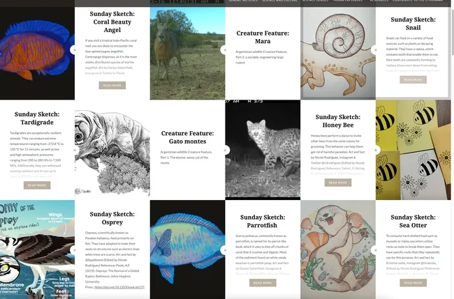 This is a screen shot from The Ethogram blog.