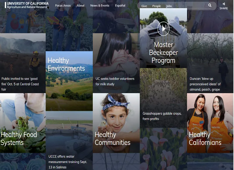 WebsiteTransition-01