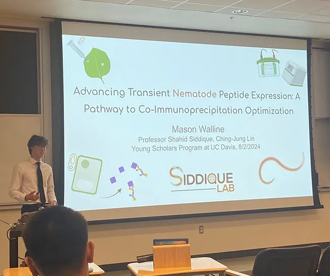 Mason Walline won second place in the UC Davis Young Scholars Program "Summer Slam" (Elevator Pitch or short-version), competing with some 35 other students. (Photo by Ching-Jung Lin)