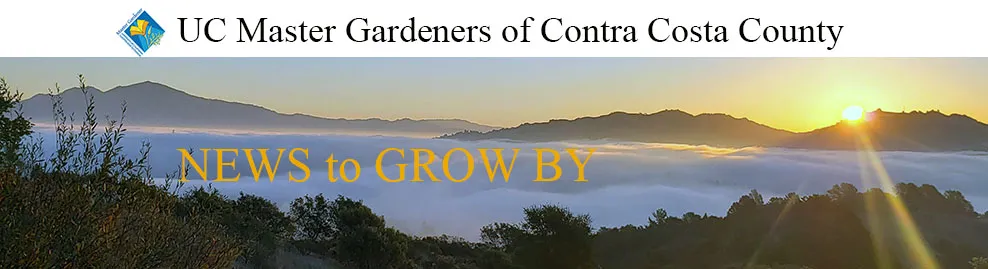 News to Grow By - Photo Courtesy H Van Den Broeck