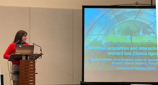 UC Davis doctoral candidate Lexie Martin of the Rachel Vannette lab presenting her work on  "Microbial Acquisition and Interactions in the Blue Orchard Bee (Osmia lignaria)"
