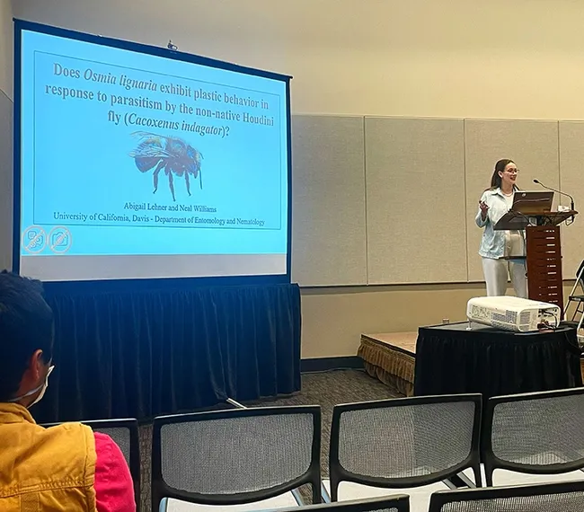 UC Davis doctoral student Abigail Lehner of the Neal Williams lab discussing "Do Blue Orchard Bees (Osmia lignaria) Exhibit Plastic Behavior in Response to Parasitism by the Non-Native Houdini fly (Cacoxenus indagator)?" (Photo courtesy of Lexie Martin)