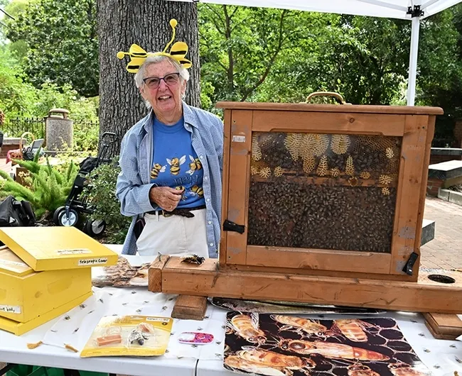 Ettamarie Peterson, known as the "Queen Bee of Sonoma County,"  gets ready to greet visitors at the Vacaville Museum Guild's Children's Party, an annual event held every August in the museum courtyard. (Photo by Kathy Keatley Garvey)