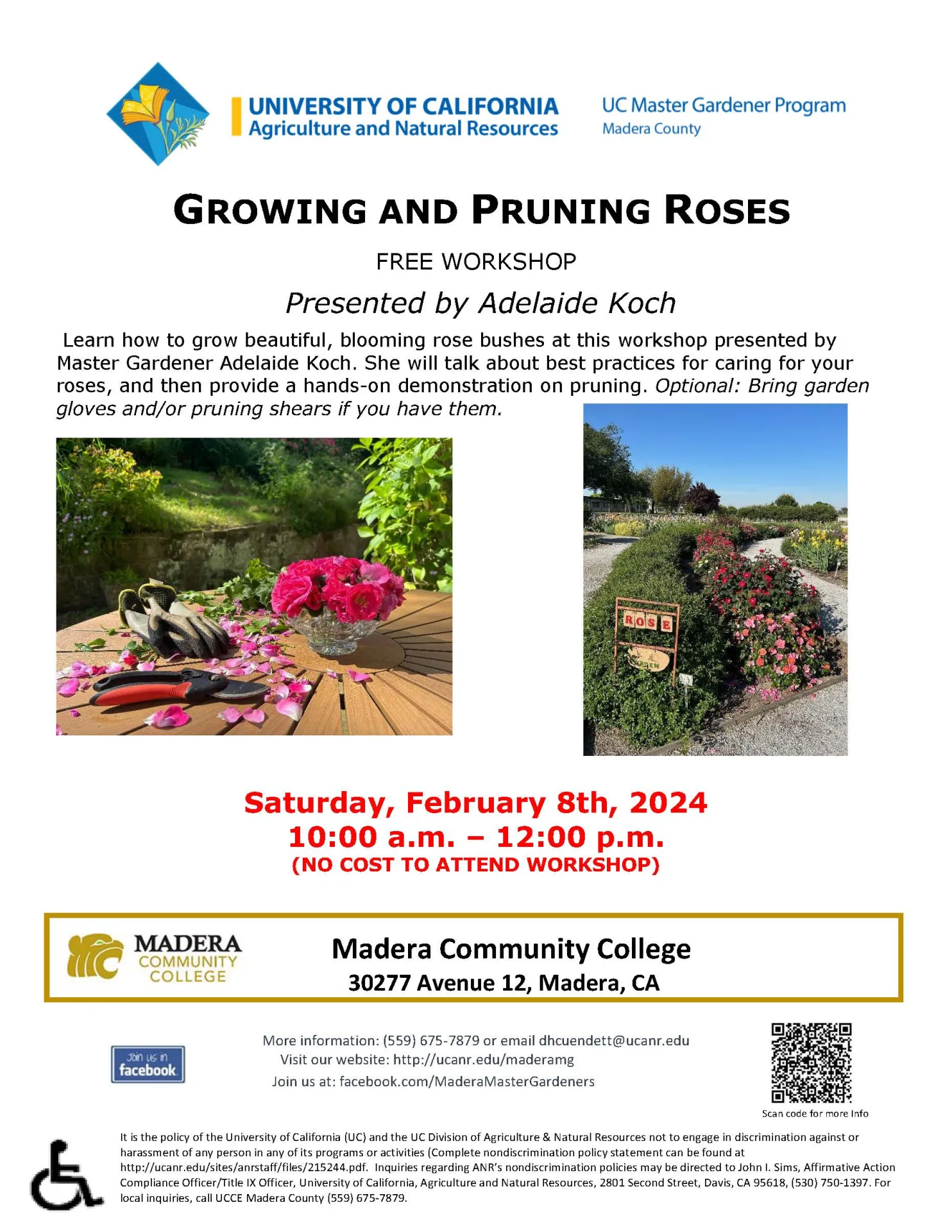 2.8.25 Growing and Pruning Roses 2.8.25