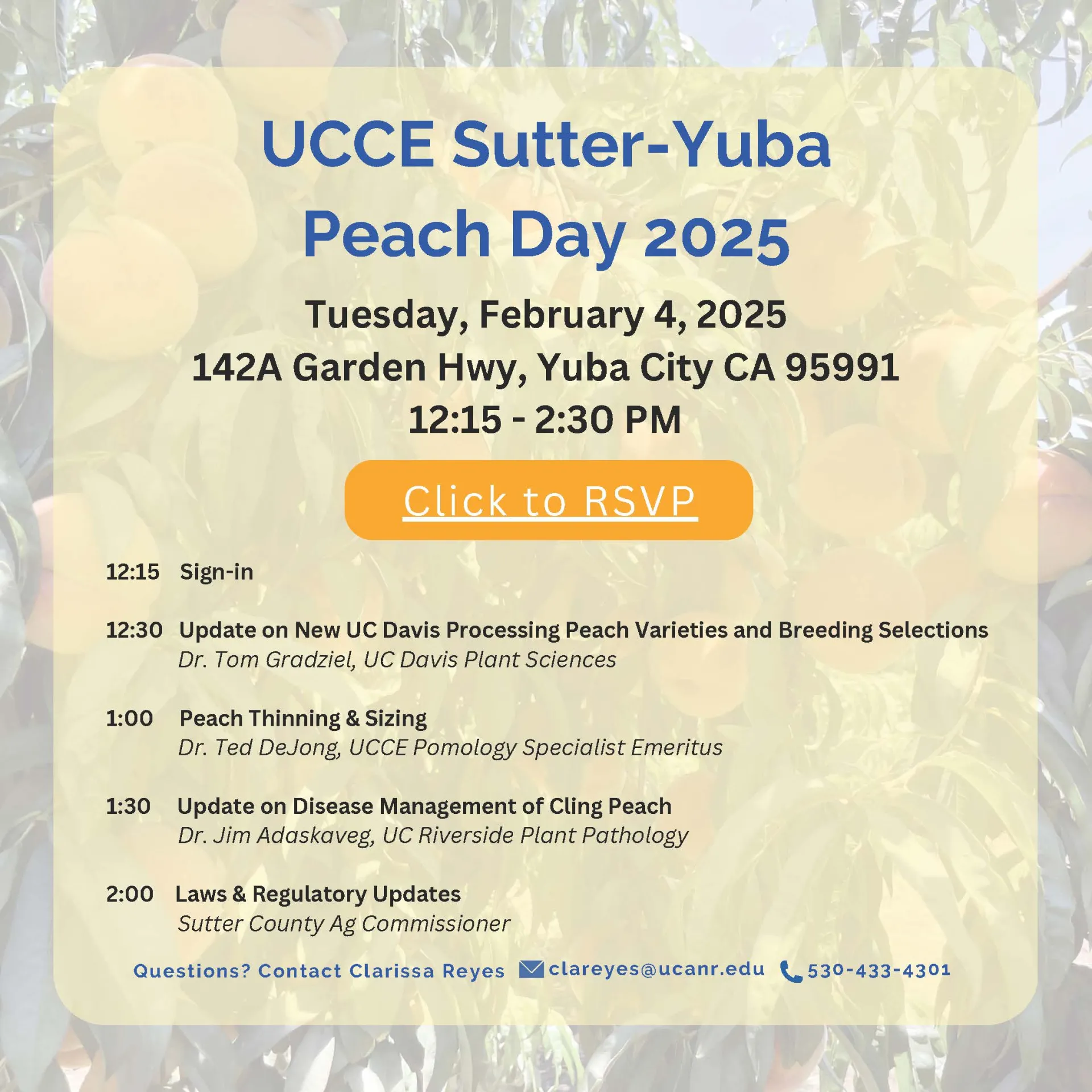 Peach Day 2025 Flyer