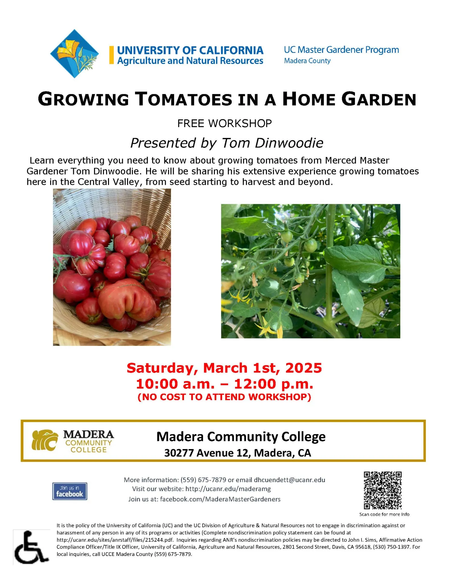 3.1.25 Growing Tomatoes in a Home Garden