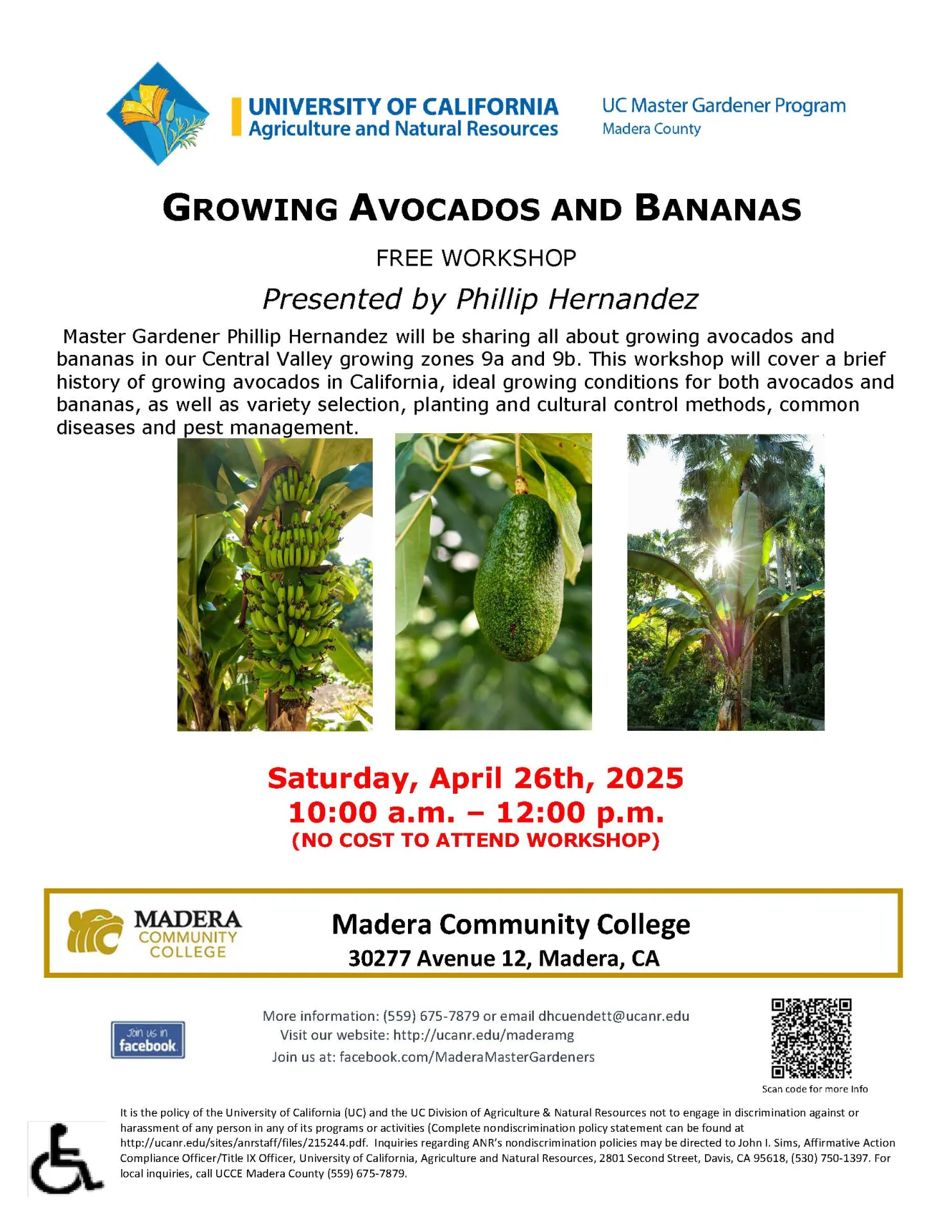 4.26.25 Growing Avocados and BananasMG class Madera